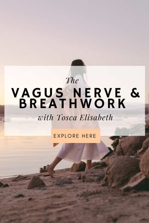 Vagus Nerve Breathwork